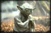 yoda.jpg (14770 bytes)